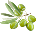 Оливковая 