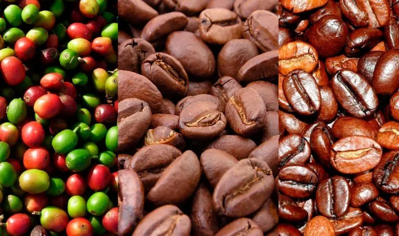 Способы обработки кофе или как обработка влияет на вкус